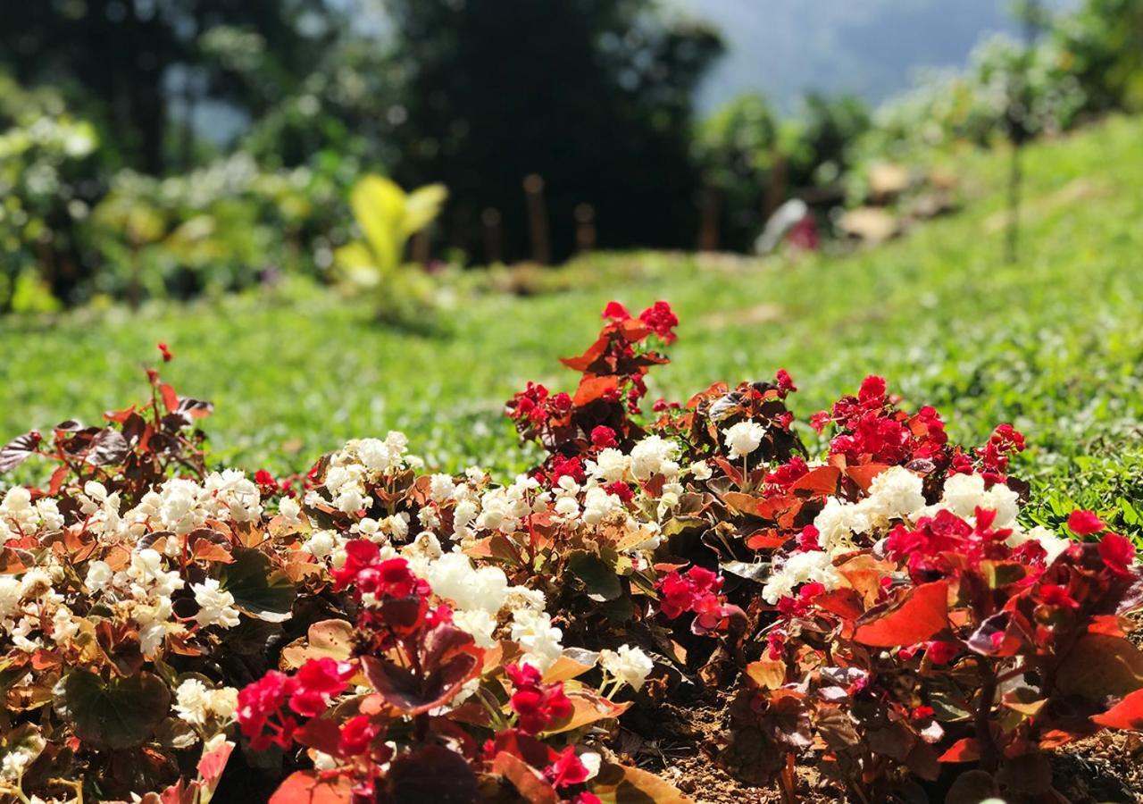 Dolape Villa Ella Bagian luar foto